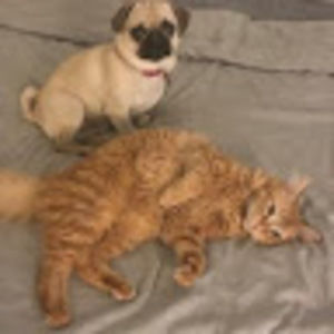 Meet your Posher, Austin